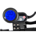Electric scooter City Boss V5 black