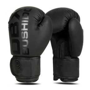 Boxing gloves DBX BUSHIDO B-2v21