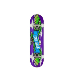 Tony Hawk SS 180 Complete Wingspan Purple