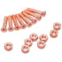Pig screws (1.25"|Copper / Phillips)