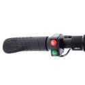 Electric scooter City Boss V4L black