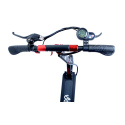 Electric scooter City Boss RX5 black