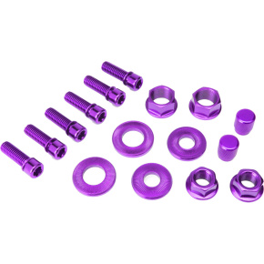 Salt Nut and Bolt Set (Purple)