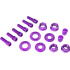 Salt Nut and Bolt Set (Purple)