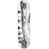 Hydroponic Spot Series Skate Board (8.25"|La Mar Bella)