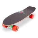 Street Surfing द्वारा किया Rocky Mountain Cruiser Street Surfing
