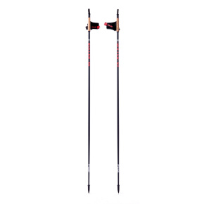 Ski poles Longway 50% Carbon 165cm