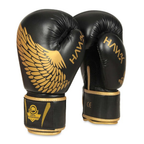 Boxing gloves DBX BUSHIDO B-2v17