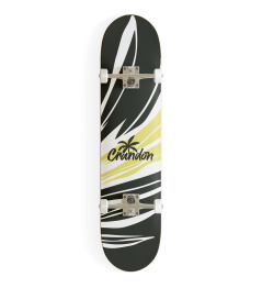 Crandon 7.75 Branch Skateboard