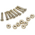 Pig screws (1.25"|Gold / Phillips)