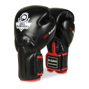 Boxing gloves DBX BUSHIDO BB2