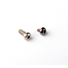 Screw 19mm (set)