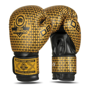 Boxing gloves DBX BUSHIDO B-2v23