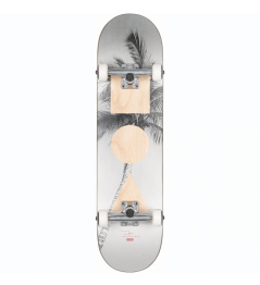 Skate set Globe G1 Stack lone palm 2021 vell.8.