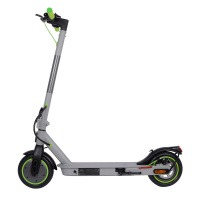 Electric Scooter City Boss RS350 Grey