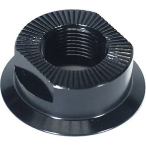 Colony Hub Cone Matrix (Wasp Front) Colony Hub Cone Matrix (Wasp Front)