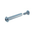 Screw - 39mm