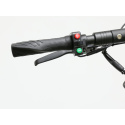 Electric scooter Joyor Y10 black