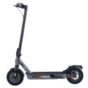 Electric scooter Street Surfing VOLTAIK ION 400 gray
