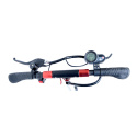 Electric scooter City Boss RX5 white