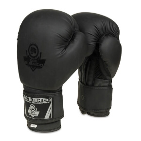 Boxing gloves DBX BUSHIDO B-2v12