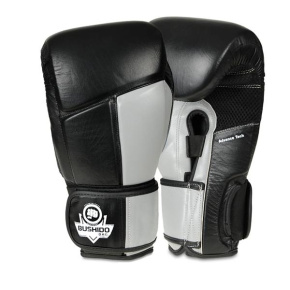 Boxing gloves DBX BUSHIDO ARB-431-GRAY