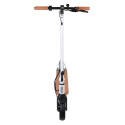 Electric scooter City Boss RS500 white