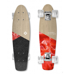 Skateboard Street Surfing