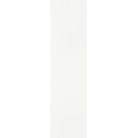 Griptape Jessup Original 9" Snow White