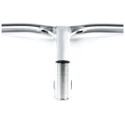 Handlebars Ethic Dryade V2 670mm Raw