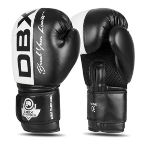Boxing gloves DBX BUSHIDO B-2v20