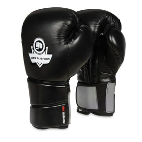 Boxing gloves DBX BUSHIDO B-2v9