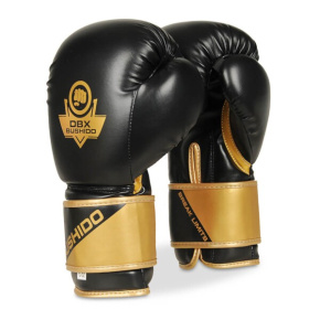Boxing gloves DBX BUSHIDO B-2v10