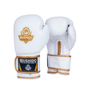 Boxing gloves DBX BUSHIDO DBD-B-2