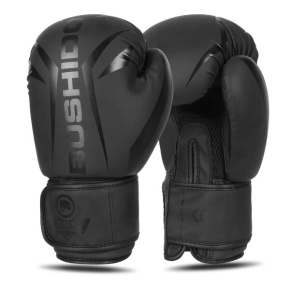 Boxing gloves DBX BUSHIDO B-2v22