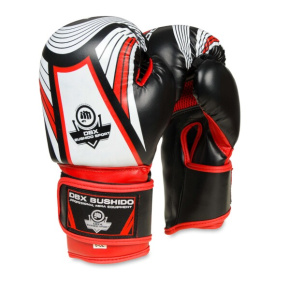 Boxing gloves DBX BUSHIDO ARB407v2 6 oz.