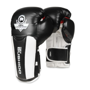 Boxing gloves DBX BUSHIDO B-3W