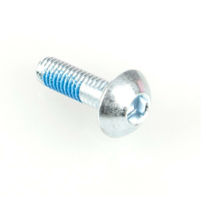 Blazer Pro silver screw