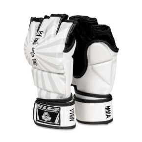 MMA gloves DBX BUSHIDO E1v7