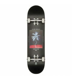 Skate set Globe Palm Off Complete black 2016/17 vell.8.