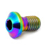 TLC Titanium BMX Derailleur Screw (Rainbow)