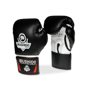 Boxing gloves DBX BUSHIDO ARB-407a