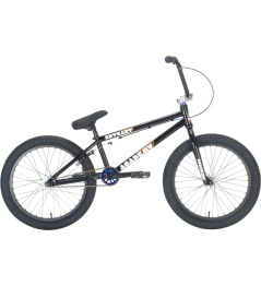 Academy Entrant 20" 2021 Freestyle BMX Bike (19.5"|Gloss Black/Rainbow)