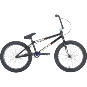 Academy Entrant 20" 2021 Freestyle BMX Bike (19.5"|Gloss Black/Rainbow)