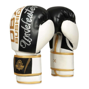 Boxing gloves DBX BUSHIDO B-2v16