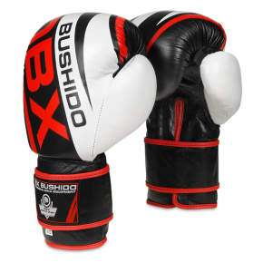 Boxing gloves DBX BUSHIDO B-2v7