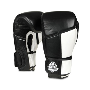 Boxing gloves DBX BUSHIDO ARB-431-White