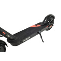 Electric scooter Street Surfing VOLTAIK SRG 250 black