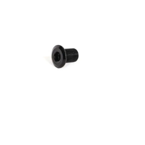 Ethic brake screw