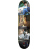 Verb 93 Til Collage Skate Board (8.25"|Colour)